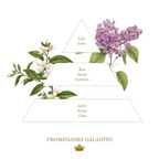 PROMENADES GALANTES (FRENCH ROMANTIC STROLL) SOAP