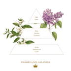PROMENADES GALANTES (FRENCH ROMANTIC STROLL) SOAP