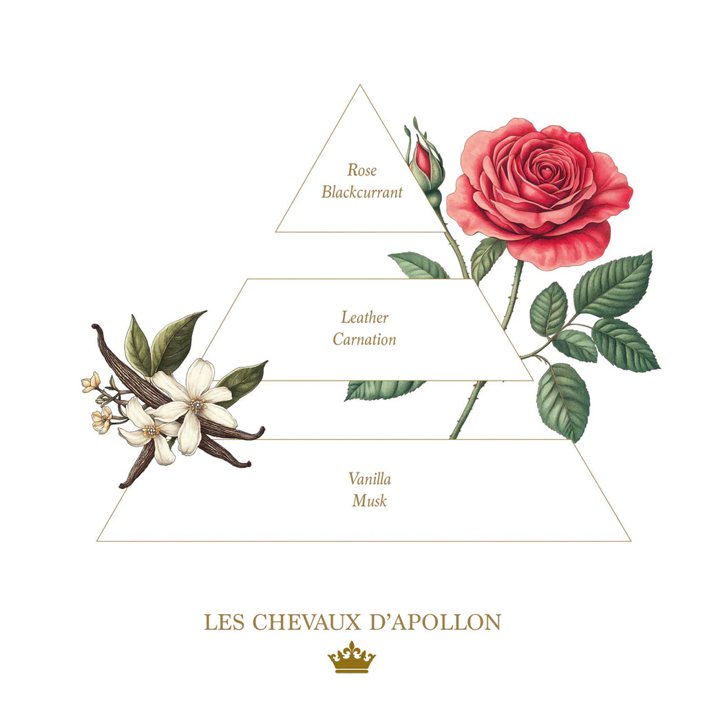 LES CHEVAUX D'APOLLON (APOLLO'S HORSES) SOAP – 100g