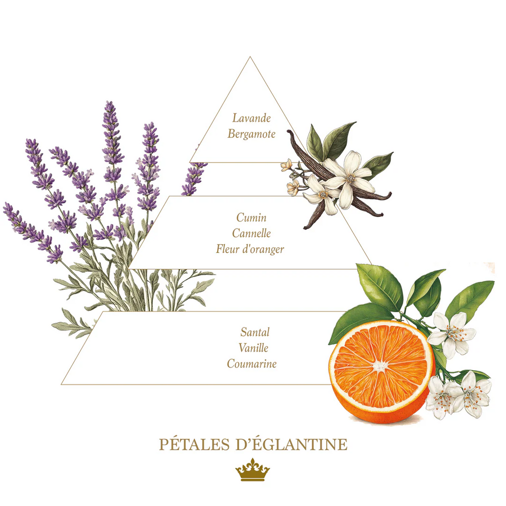 Pétales d'églantine (Rosehip Petals) Liquid soap - Glass Bottle
