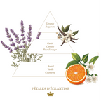 Pétales d'églantine (Rosehip Petals) Liquid soap - Glass Bottle