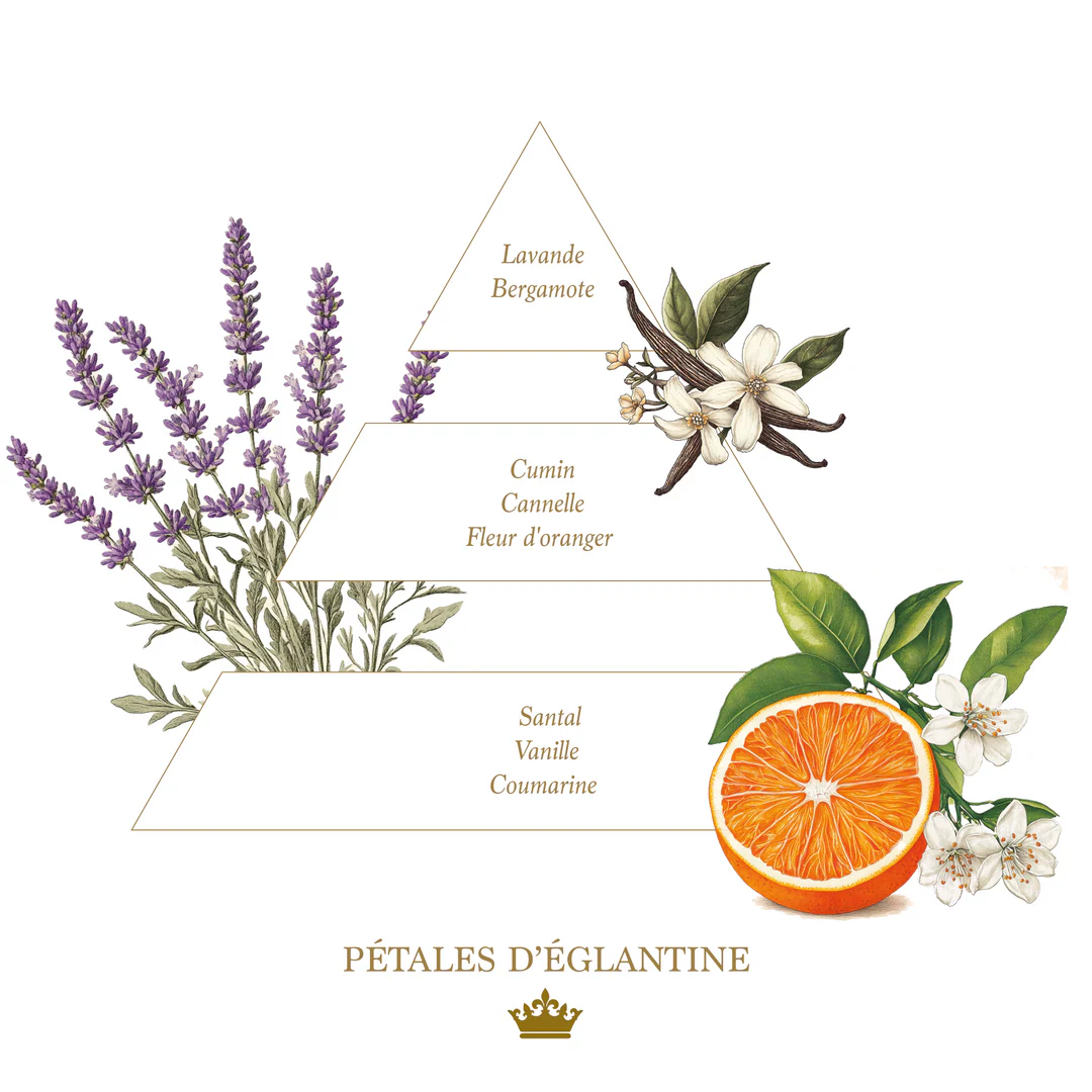 Pétales d'églantine (Rosehip Petals) Liquid soap - Glass Bottle