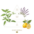 Secret Impérial (Imperial Secret) Liquid soap - Glass bottle